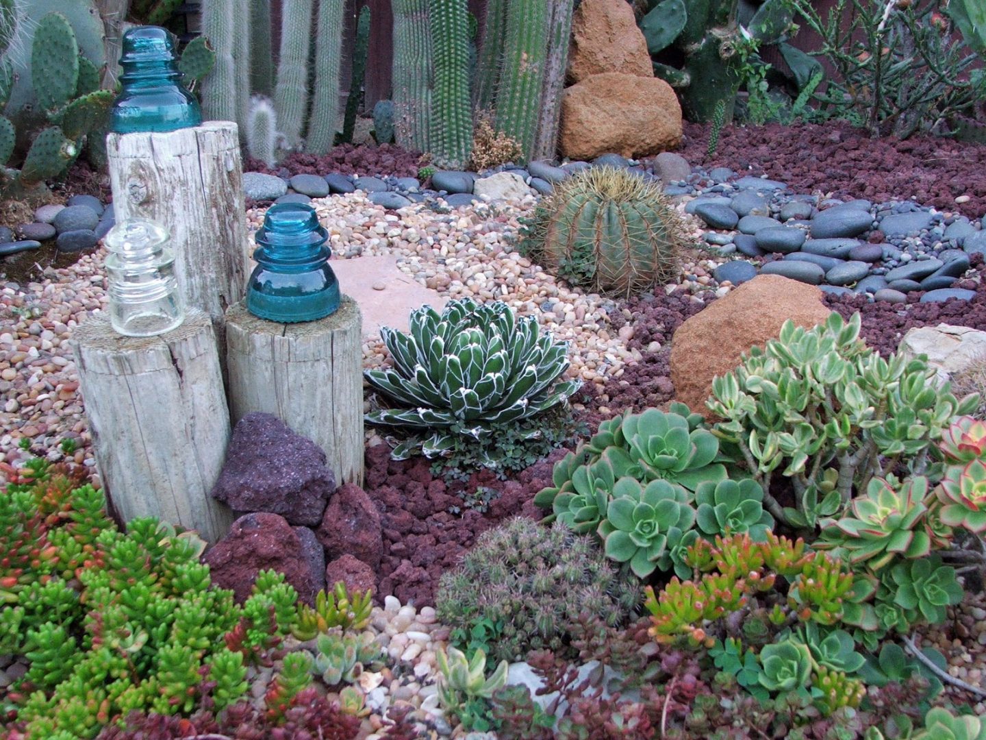 Drought Tolerant: succulents - alternative