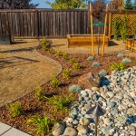 Drought Tolerant Landscaping