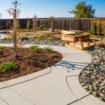xeriscaping and drought tolerant