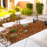 Landscaping On A Water Budget