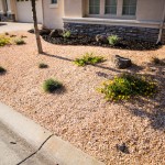 City-Wide Water Limits for Landscape Design