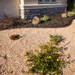 Defining Xeriscaping (Drought Tolerant Landscaping)