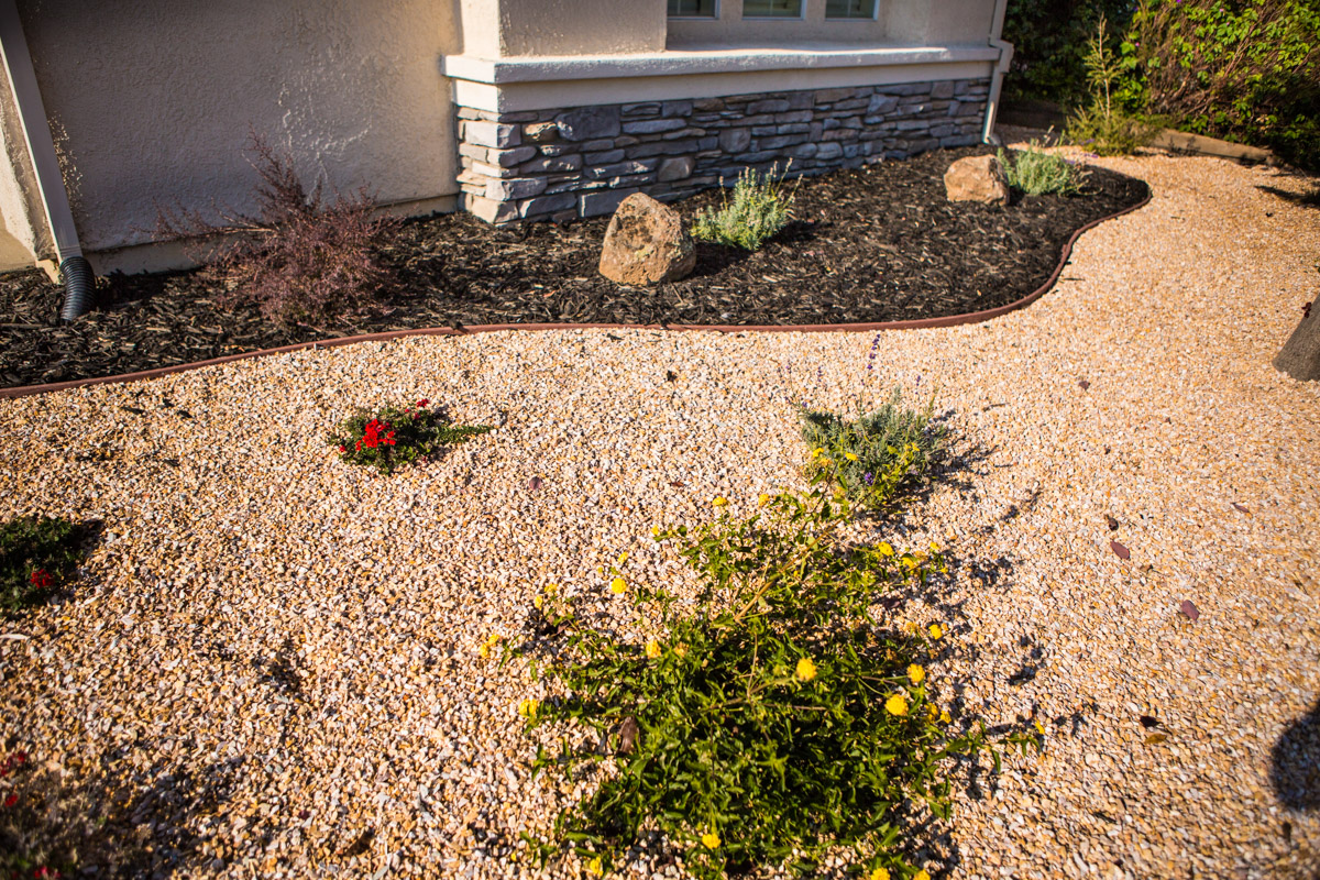 Defining Xeriscaping (Drought Tolerant Landscaping)