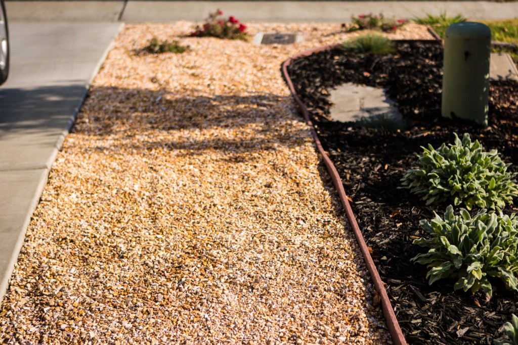 Xeriscape Irrigation FiveSTAR Landscape, Sacramento Area Landscape