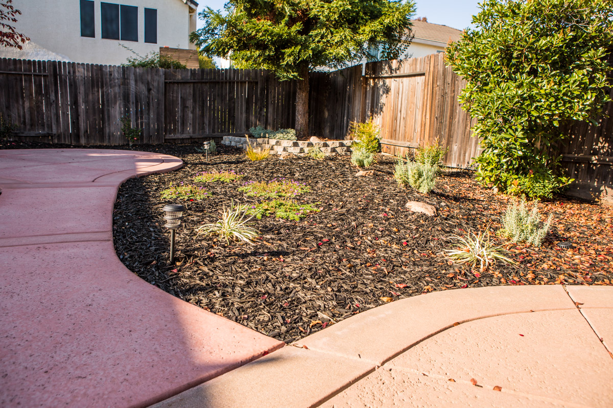 Choosing a Landscaping Company, FiveSTAR Landscap Design