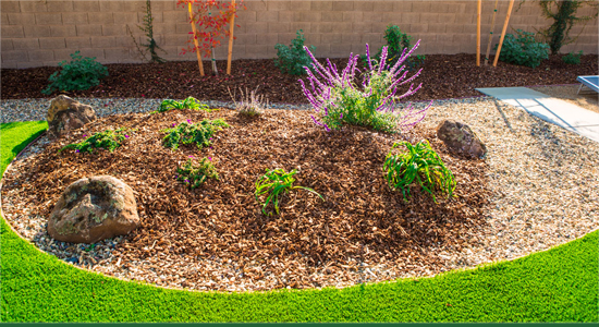 Landscape Services Folsom - Drought Tolerant