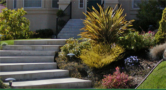 Landscape Services Folsom -Renovations and Remodeling