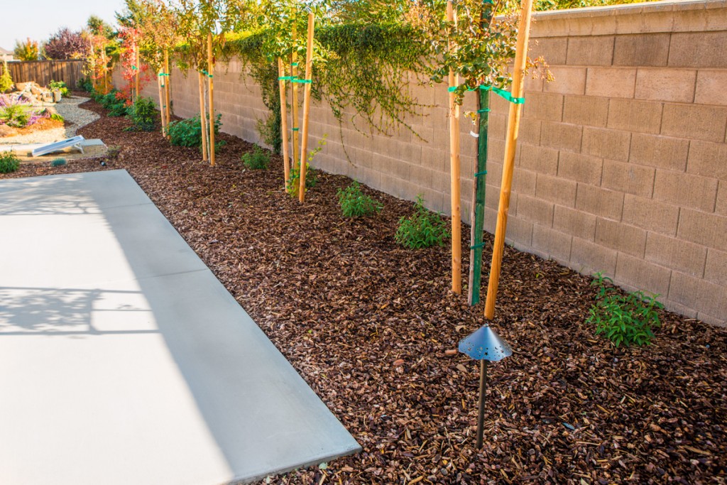 Landscape Design Folsom, CA