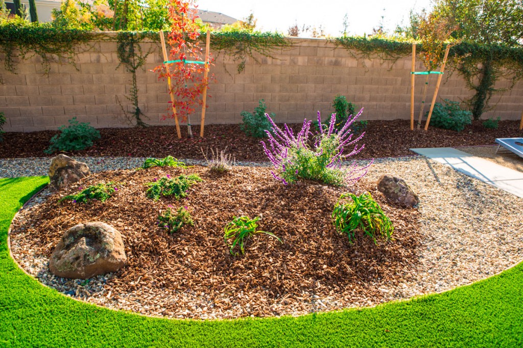 Drought Resistant Landscaping,