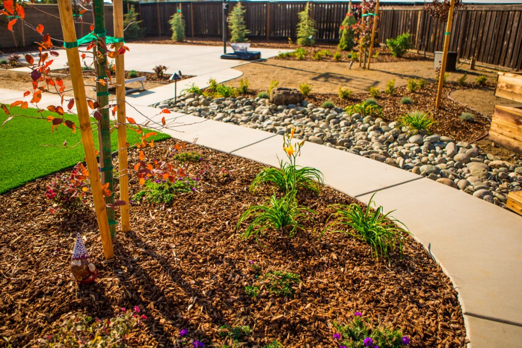 Drought Proof Landscape Renovation Sacramento