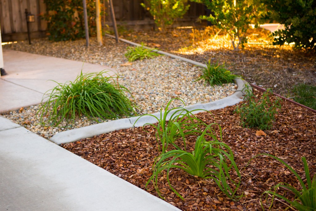 Drought Proof Landscape Renovation Sacramento