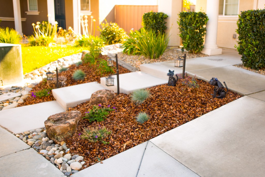 Drought Proof Landscape Renovation Sacramento