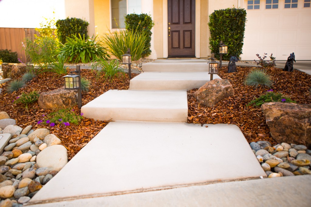 Drought Proof Landscape Renovation Sacramento