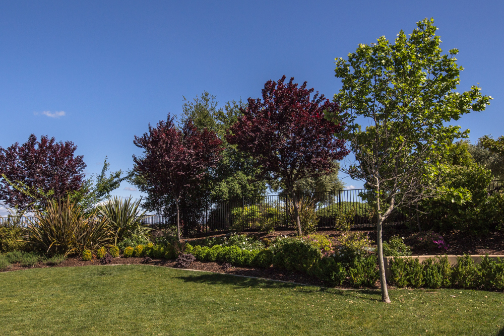 Landscape Design El Dorado Hills
