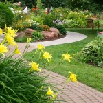 Landscape Design Sacramento