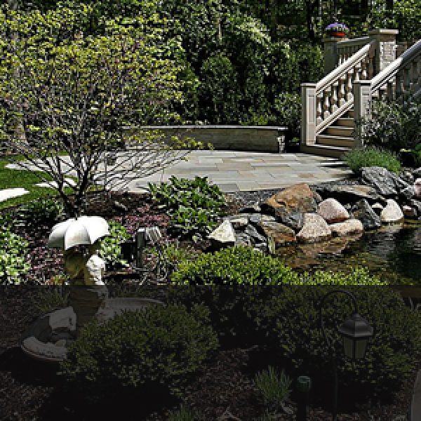 Landscape Design in the Middle or Winter in Sacramento? FiveSTAR