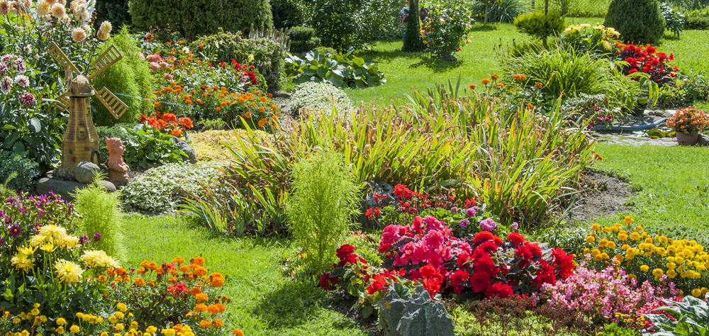 Theme Butterfly Garden Landscaping