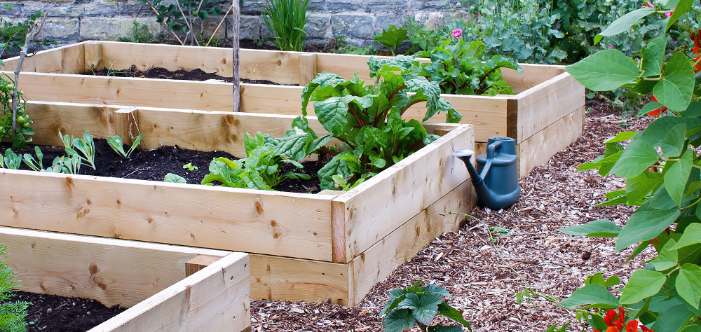 Theme Edible Garden Landscaping