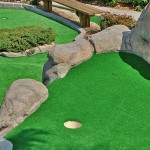 Theme Putting Green Landscaping