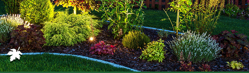 Landscape Lighting Sacramento