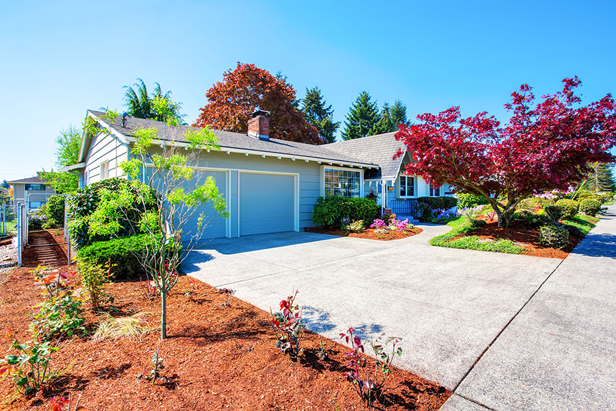 Drought Proof Landscape Design