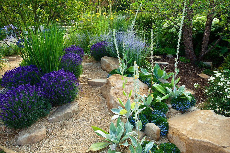 Drought Proof Landscape Design