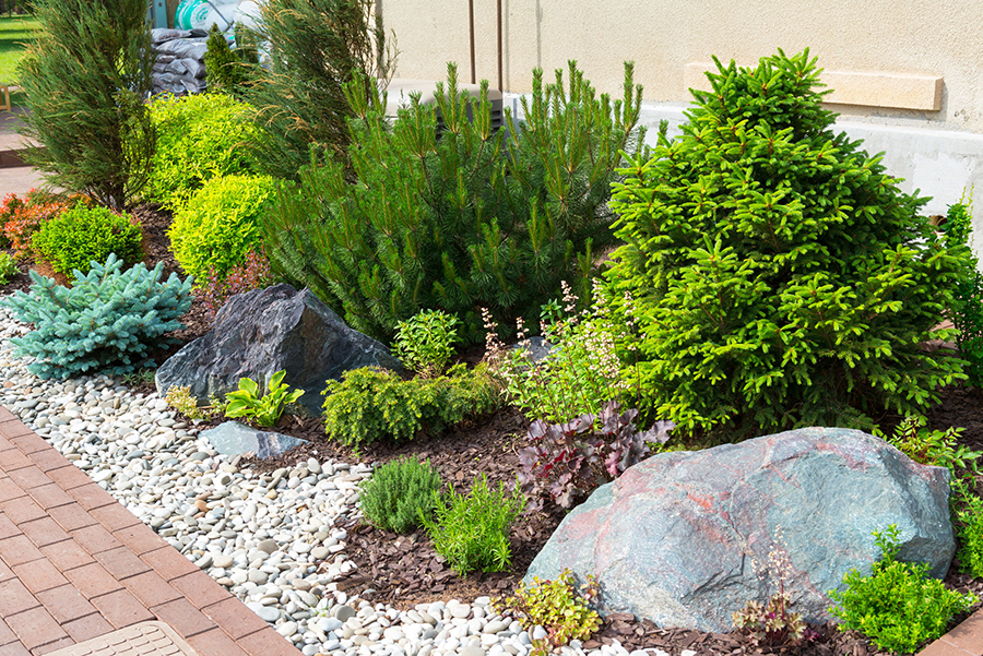 Side Yard Landscape Design Sacramento