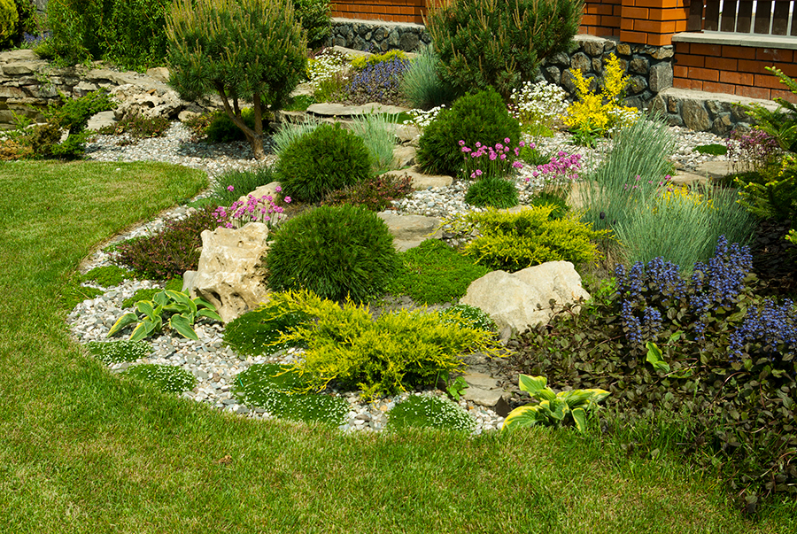 Landscape Design Remodeling Sacramento