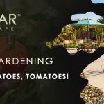 March Veggie Gardening Tips Sacramento