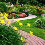 Landscape Contractor