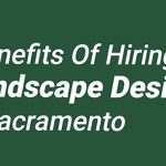 Hiring Professional Landscape Design Contractors in Sacramento