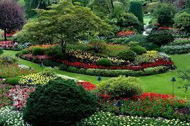 Sacramento Landscape Design Contractors