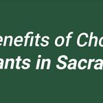 Benefits of Choosing Native Plants in Sacramento