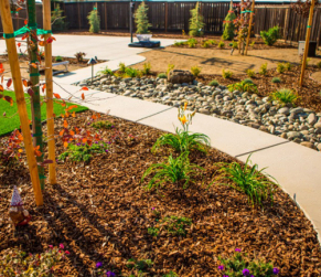 Why Drought Resistant Landscapes are Necessary in Sacramento