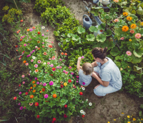 Edible Landscape Design Ideas to Make it More Aesthetically Pleasing
